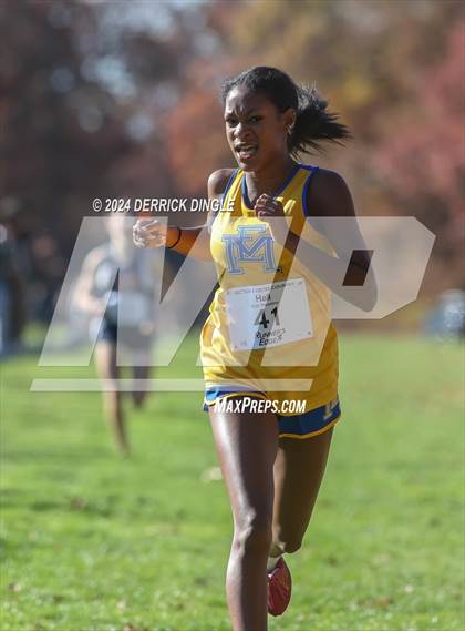 Thumbnail 1 in Nassau Championship photogallery.