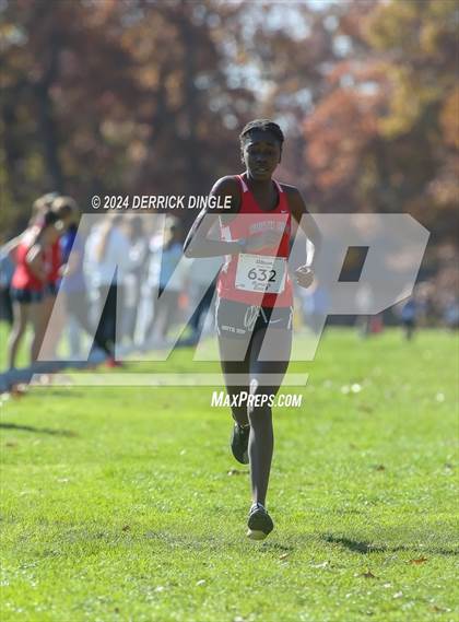 Thumbnail 2 in Nassau Championship photogallery.