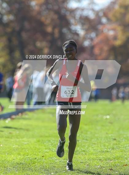 Thumbnail 1 in Nassau Championship photogallery.