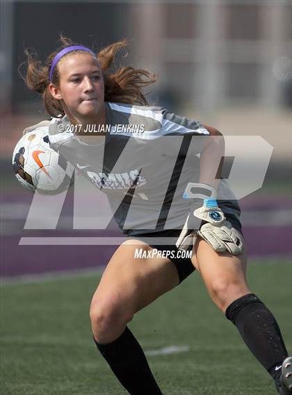 Thumbnail 3 in Eagle @ Rocky Mountain photogallery.