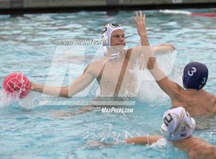 Thumbnail 3 in Great Oak vs Don Lugo (Don Lugo Classic) photogallery.