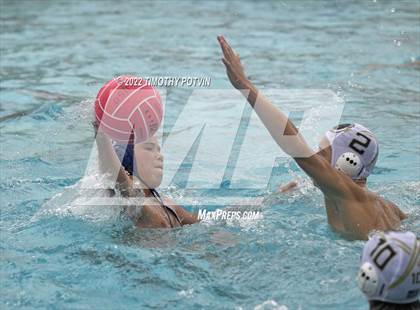 Thumbnail 3 in Great Oak vs Don Lugo (Don Lugo Classic) photogallery.