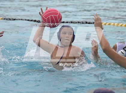 Thumbnail 1 in Great Oak vs Don Lugo (Don Lugo Classic) photogallery.