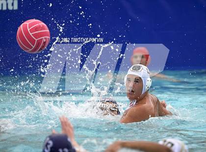 Thumbnail 2 in Great Oak vs Don Lugo (Don Lugo Classic) photogallery.
