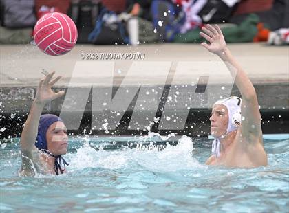 Thumbnail 2 in Great Oak vs Don Lugo (Don Lugo Classic) photogallery.