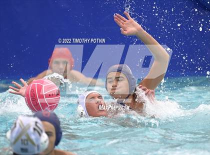 Thumbnail 3 in Great Oak vs Don Lugo (Don Lugo Classic) photogallery.