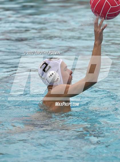 Thumbnail 3 in Great Oak vs Don Lugo (Don Lugo Classic) photogallery.