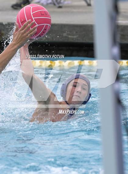 Thumbnail 1 in Great Oak vs Don Lugo (Don Lugo Classic) photogallery.