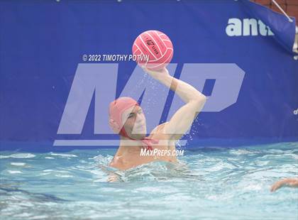 Thumbnail 2 in Great Oak vs Don Lugo (Don Lugo Classic) photogallery.