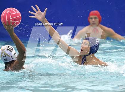 Thumbnail 1 in Great Oak vs Don Lugo (Don Lugo Classic) photogallery.
