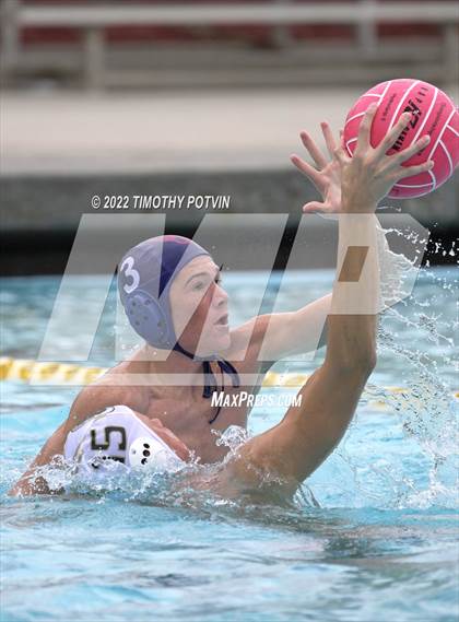 Thumbnail 1 in Great Oak vs Don Lugo (Don Lugo Classic) photogallery.