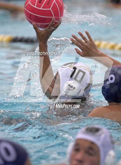 Thumbnail 1 in Great Oak vs Don Lugo (Don Lugo Classic) photogallery.
