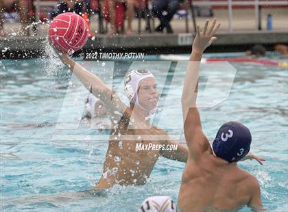 Thumbnail 1 in Great Oak vs Don Lugo (Don Lugo Classic) photogallery.
