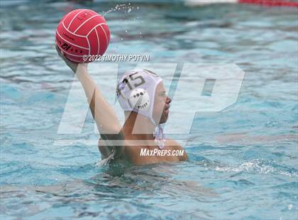Thumbnail 2 in Great Oak vs Don Lugo (Don Lugo Classic) photogallery.
