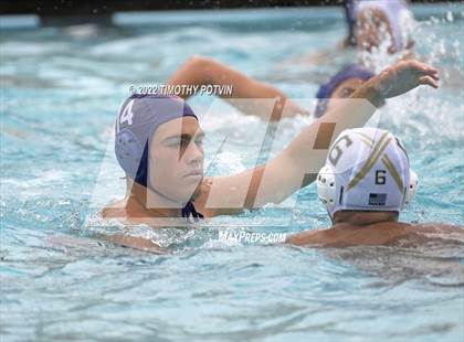 Thumbnail 1 in Great Oak vs Don Lugo (Don Lugo Classic) photogallery.