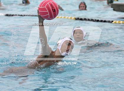 Thumbnail 2 in Great Oak vs Don Lugo (Don Lugo Classic) photogallery.