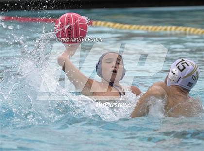 Thumbnail 1 in Great Oak vs Don Lugo (Don Lugo Classic) photogallery.