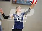 Photo from the gallery "Douglas County vs. Legacy (CHSAA 5A Region 6 Playoff)"