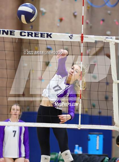 Thumbnail 1 in Douglas County vs. Legacy (CHSAA 5A Region 6 Playoff) photogallery.