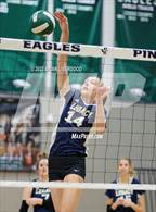 Photo from the gallery "Douglas County vs. Legacy (CHSAA 5A Region 6 Playoff)"