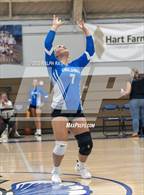 Photo from the gallery "Lassen @ Orland"