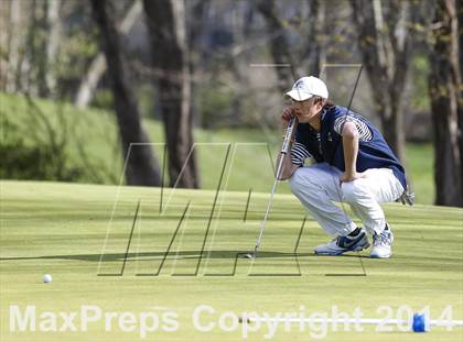Thumbnail 1 in Darien @ Ridgefield photogallery.