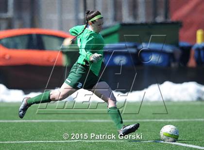 Thumbnail 1 in Beecher vs Providence Catholic (Windy City Ram Classic) photogallery.
