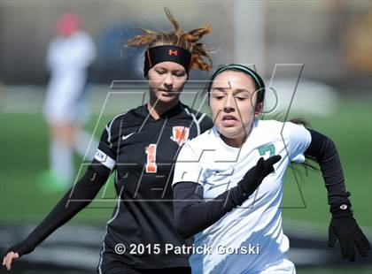 Thumbnail 1 in Beecher vs Providence Catholic (Windy City Ram Classic) photogallery.