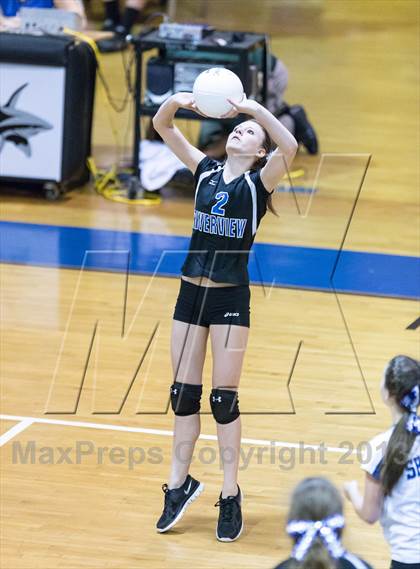 Thumbnail 1 in Newsome @ Riverview photogallery.