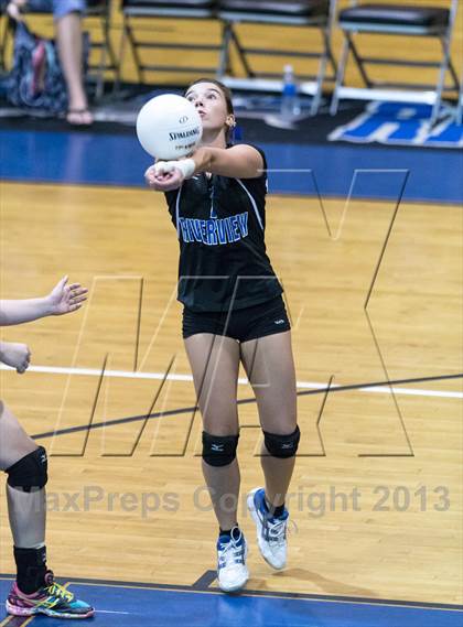 Thumbnail 3 in Newsome @ Riverview photogallery.