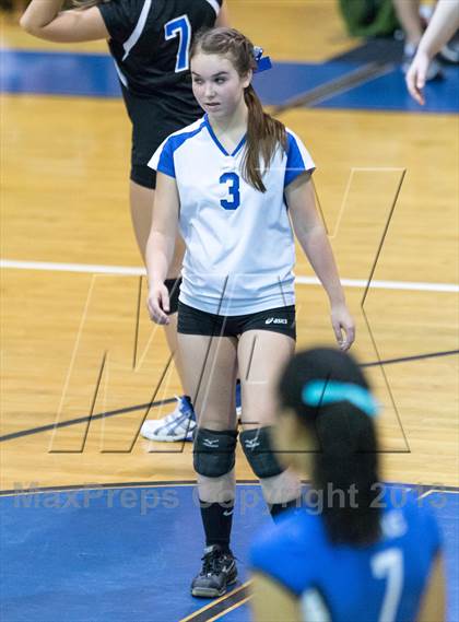 Thumbnail 1 in Newsome @ Riverview photogallery.
