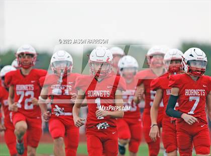 Thumbnail 2 in Pottsboro @ Muenster photogallery.
