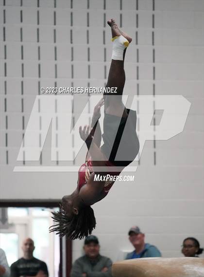 Thumbnail 3 in THSGCA State Meet (Vault-Optional) photogallery.