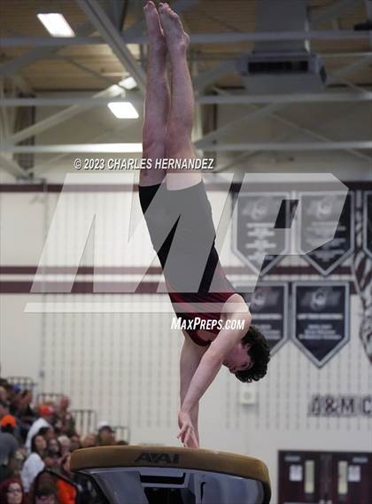 Thumbnail 1 in THSGCA State Meet (Vault-Optional) photogallery.