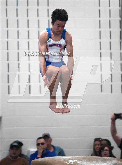 Thumbnail 2 in THSGCA State Meet (Vault-Optional) photogallery.