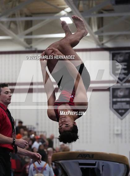Thumbnail 2 in THSGCA State Meet (Vault-Optional) photogallery.