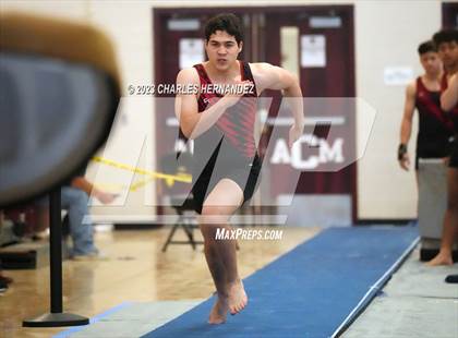Thumbnail 3 in THSGCA State Meet (Vault-Optional) photogallery.