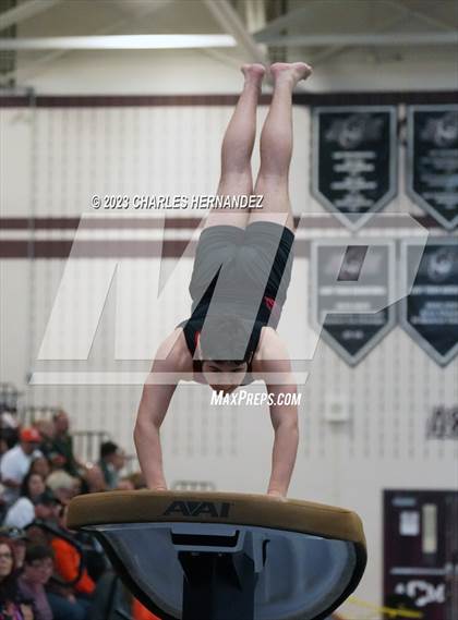 Thumbnail 1 in THSGCA State Meet (Vault-Optional) photogallery.
