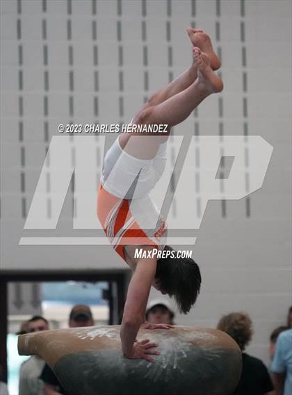 Thumbnail 2 in THSGCA State Meet (Vault-Optional) photogallery.