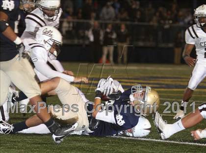 Thumbnail 3 in Crespi @ Notre Dame photogallery.
