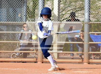 Thumbnail 1 in South vs Birmingham (Spring Jamboree) photogallery.