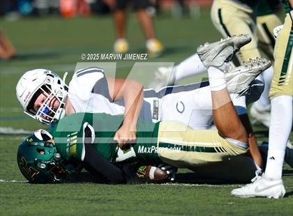 Thumbnail 2 in FR: Camarillo @ Royal photogallery.