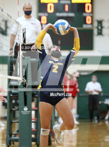Thumbnail 1 in Holly vs. Oxford photogallery.