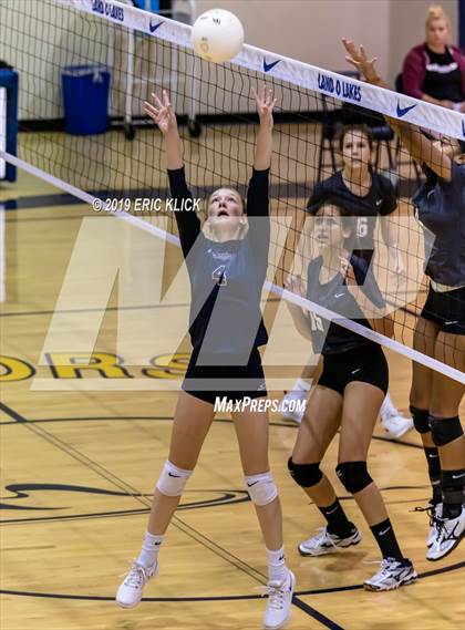 Thumbnail 1 in Wiregrass Ranch @ Land O' Lakes photogallery.