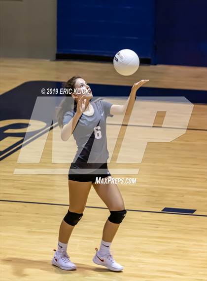 Thumbnail 3 in Wiregrass Ranch @ Land O' Lakes photogallery.