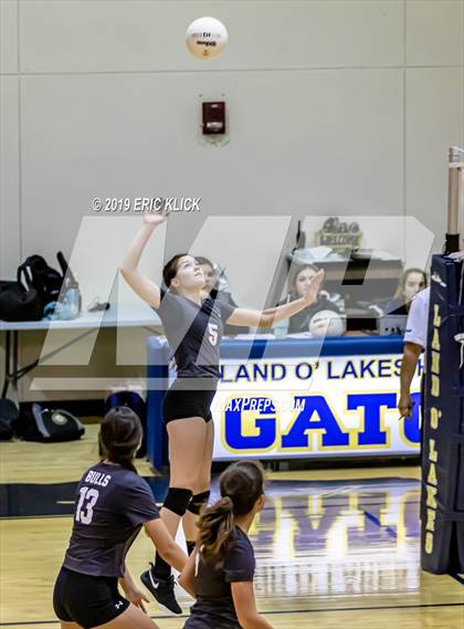 Thumbnail 3 in Wiregrass Ranch @ Land O' Lakes photogallery.