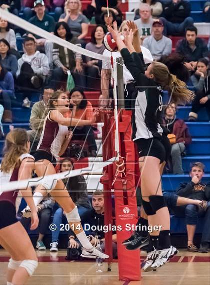 Thumbnail 1 in Menlo-Atherton vs. Homestead (CIF-CCS D1 Championship) photogallery.