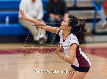Thumbnail 2 in Menlo-Atherton vs. Homestead (CIF-CCS D1 Championship) photogallery.