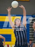 Photo from the gallery "ALA - West Foothills @ Kingman"