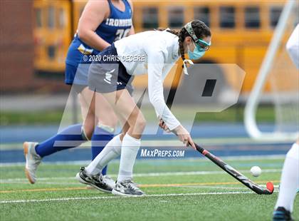 Thumbnail 1 in Irondequoit @ Brighton photogallery.